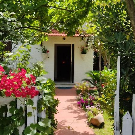La Corte Delle Rose B&B Praia a Mare Exterior photo