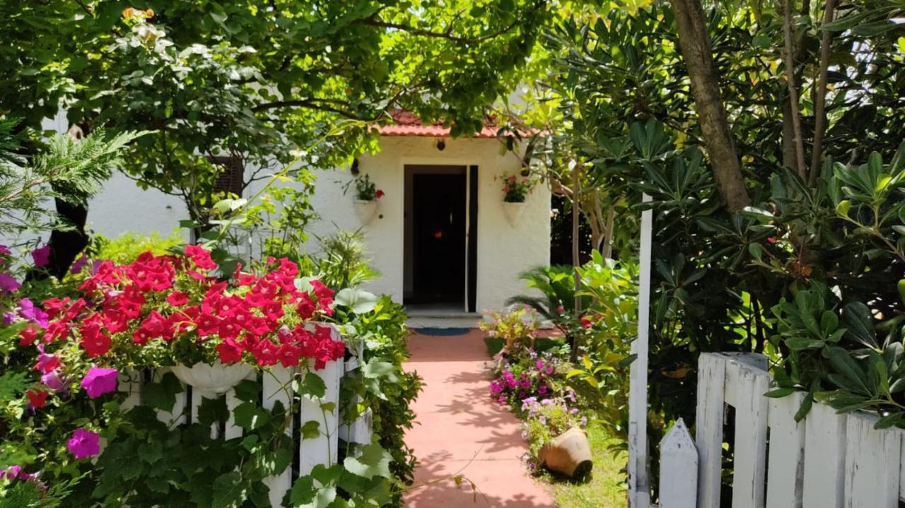 La Corte Delle Rose B&B Praia a Mare Exterior photo