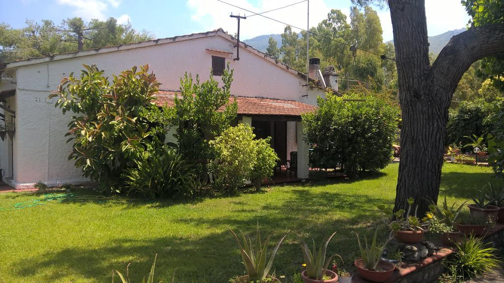 La Corte Delle Rose B&B Praia a Mare Exterior photo