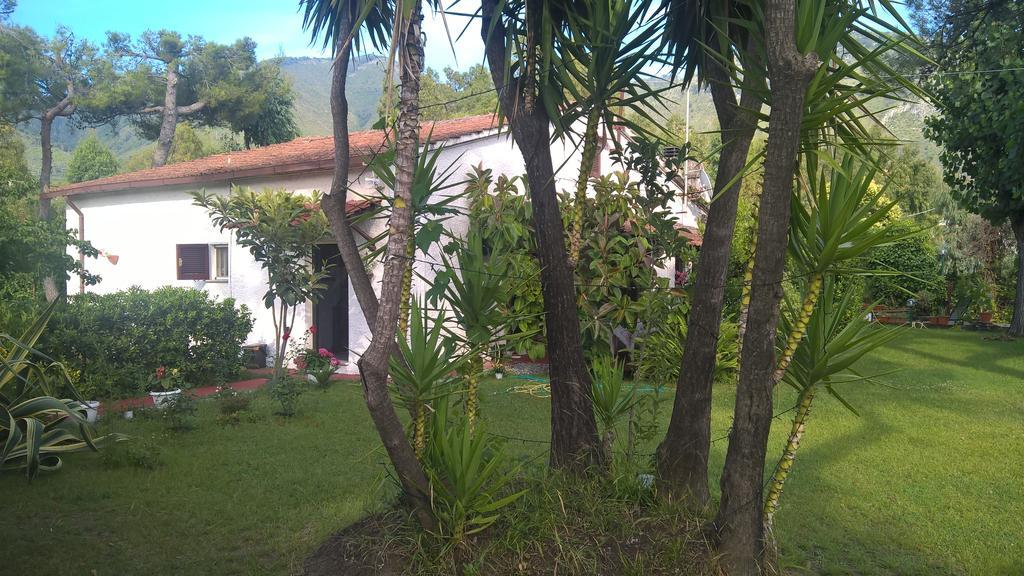 La Corte Delle Rose B&B Praia a Mare Exterior photo